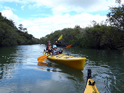 Ngunguru Estuary